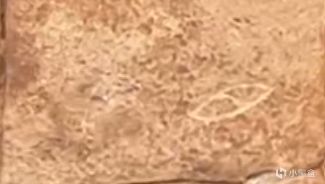 【球盟会】国博一件我一件，国博没盖我有盖---made in 河南