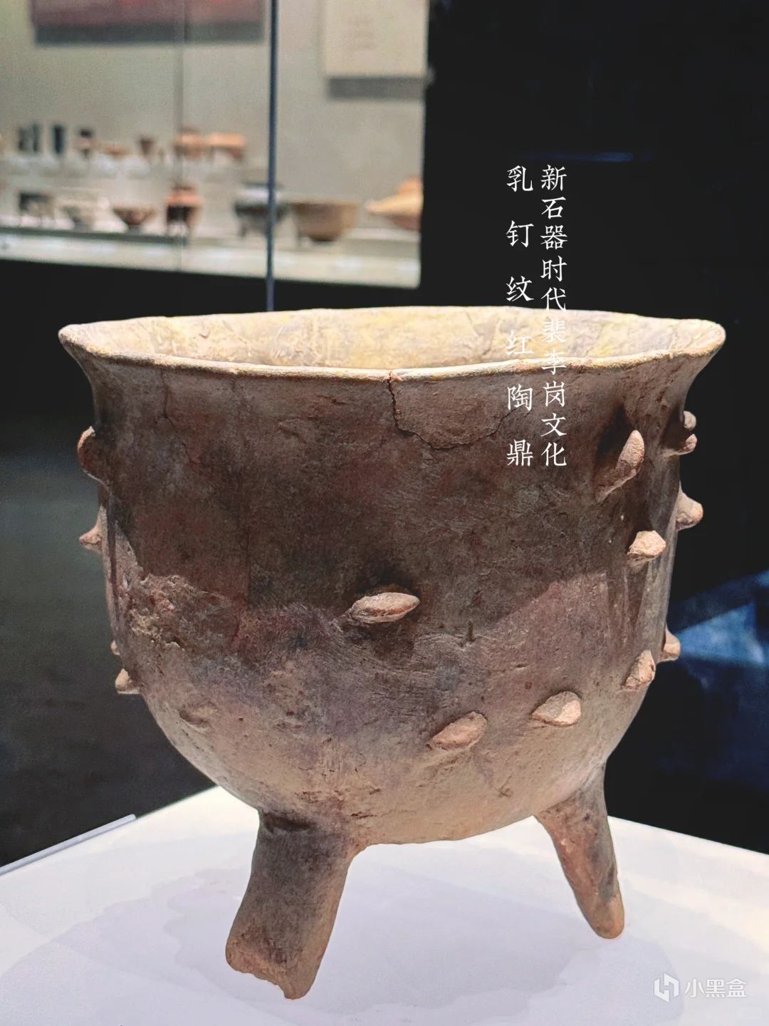 【球盟会】国博一件我一件，国博没盖我有盖---made in 河南