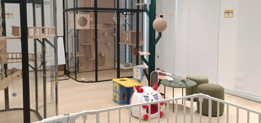 【球盟会】你每天都在玩他们的游戏，却不一定知道他们是谁｜传奇工作室盘点