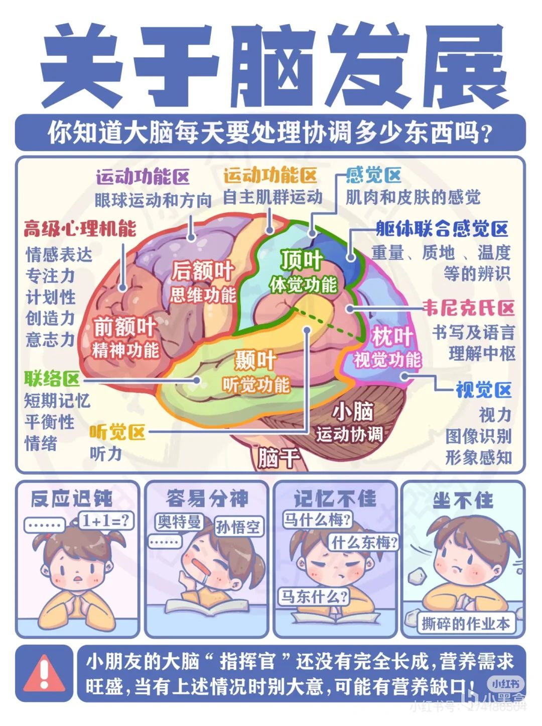 【球盟会】4个伤脑习惯自查,别让大脑悄悄钝化