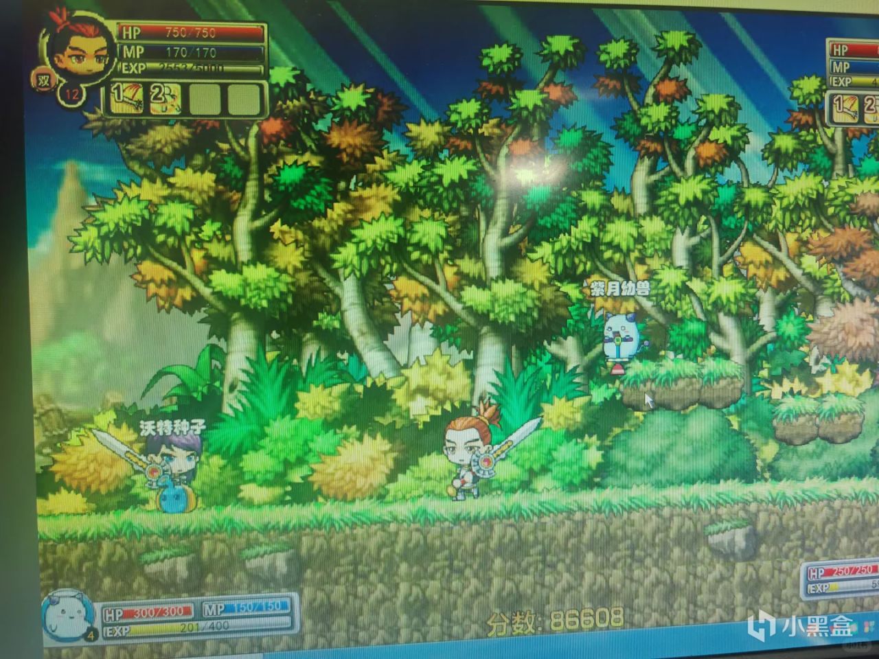 【球盟会】从前，有个初中生办了个游戏网站