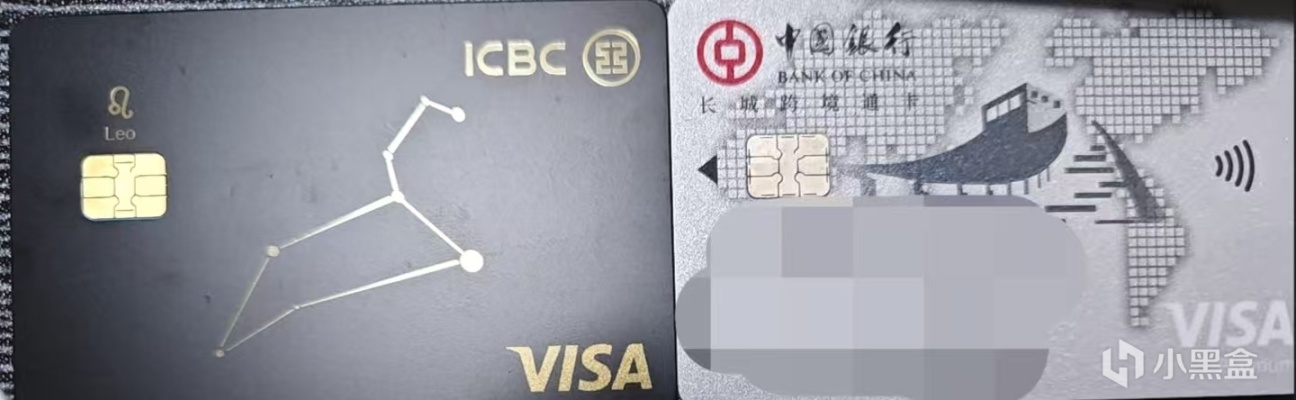 【球盟会】卡组织介绍|Visa