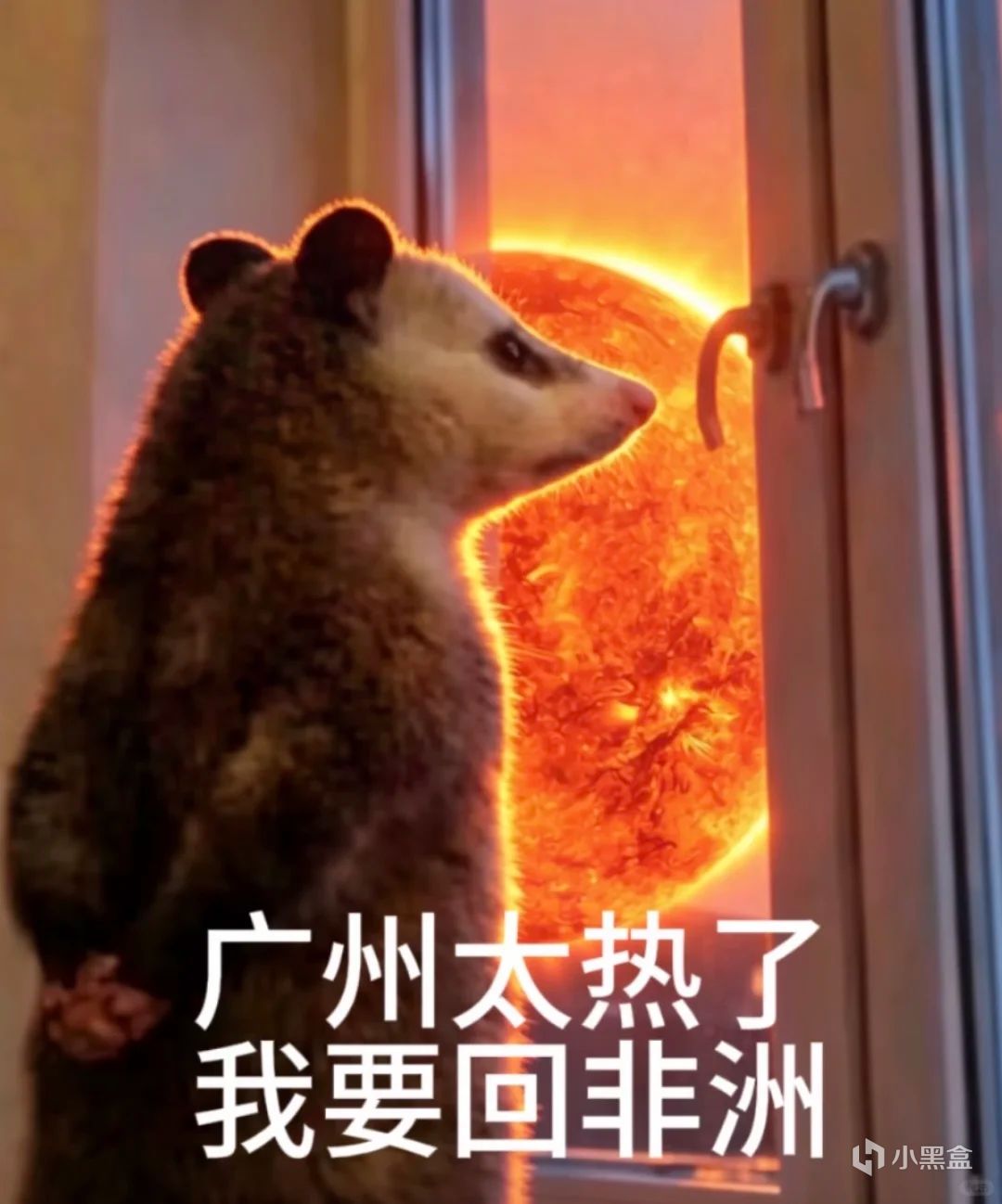 【球盟会】请不要再气温高于36度后，穿上羽绒服