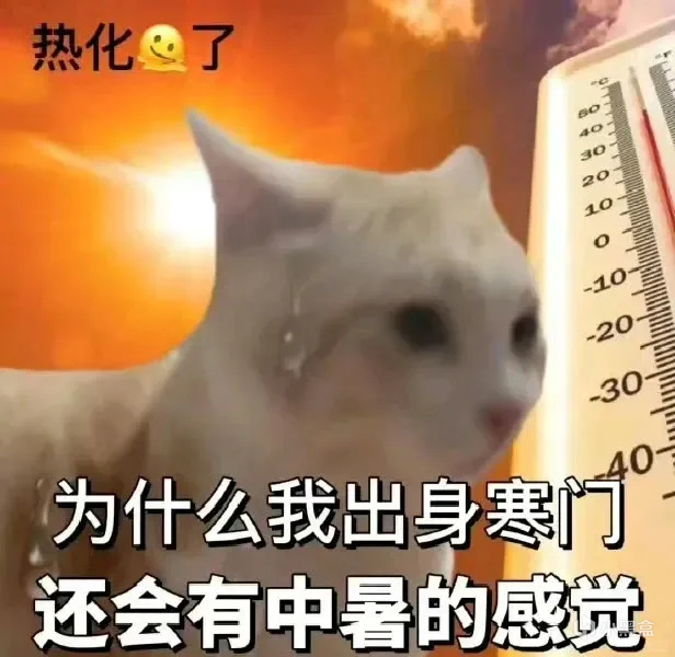 【球盟会】请不要再气温高于36度后，穿上羽绒服