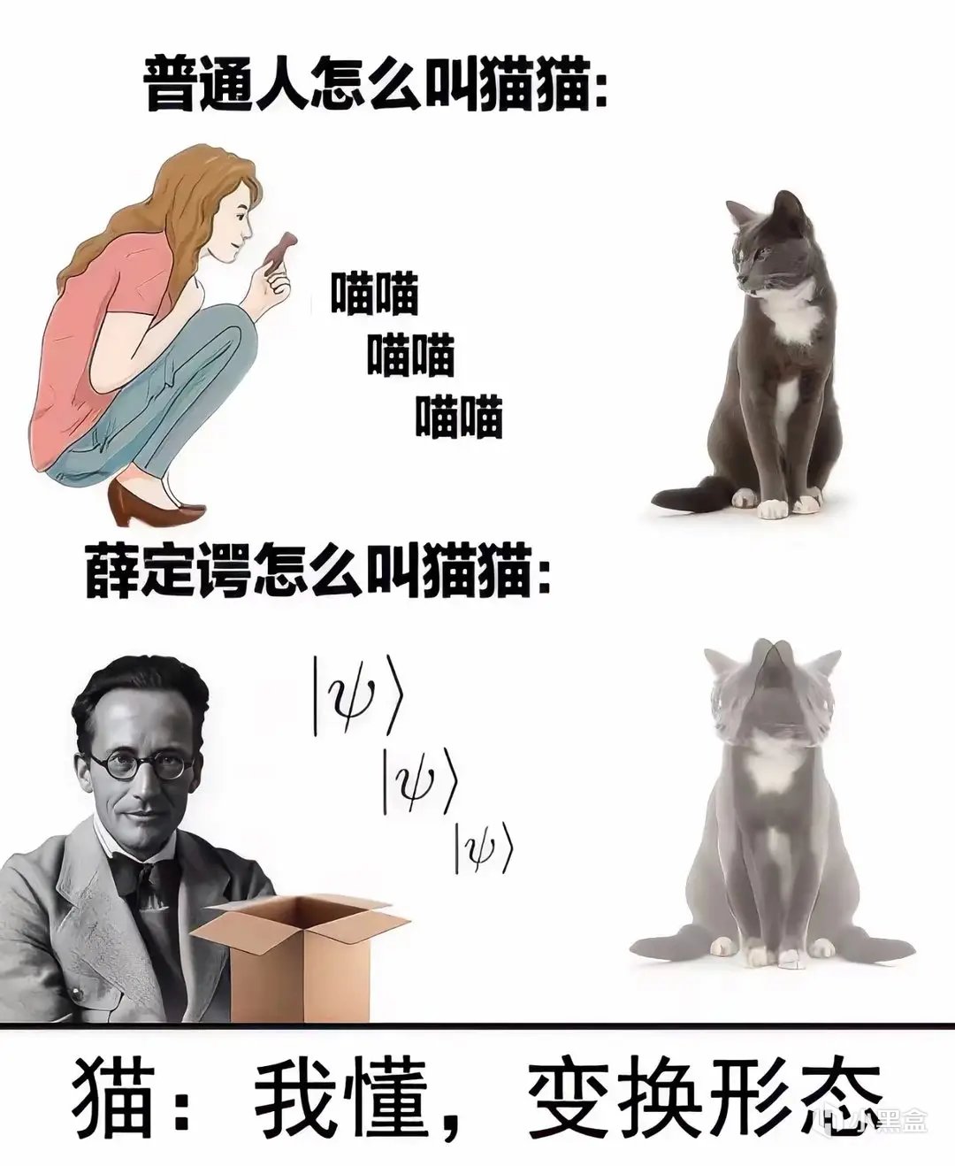 【球盟会】从前，有个哥们学物理前，帅得与我不相上下