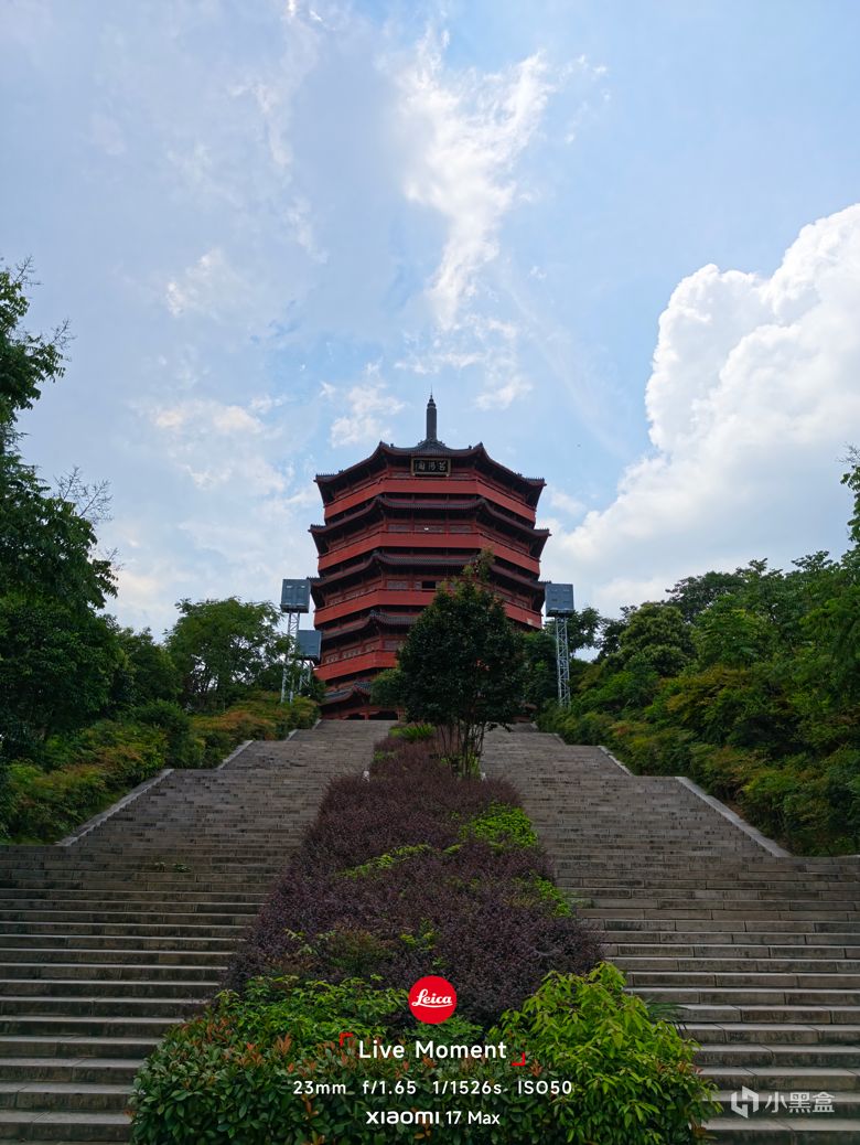 [图片]