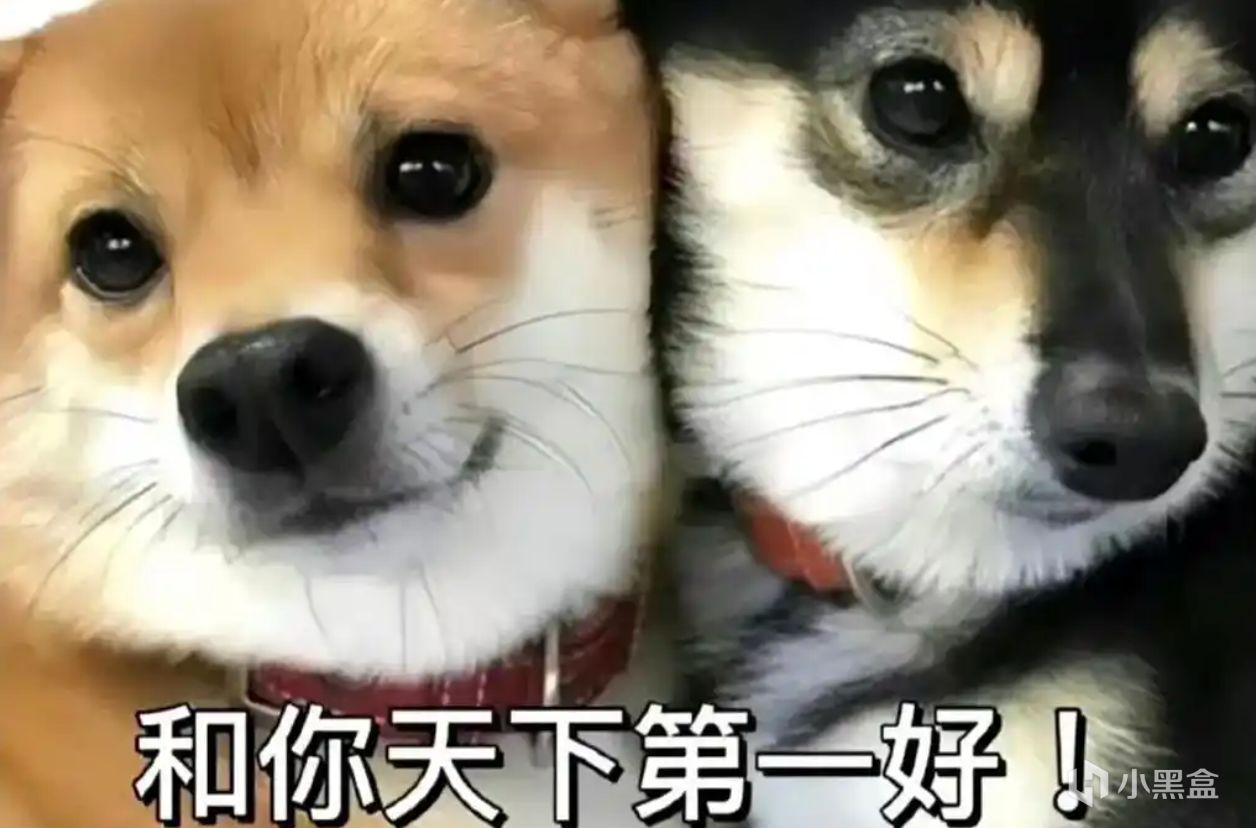 【球盟会】【焚决】暑假还天天黏着，开学变网友了：大学生情侣异地自救指南