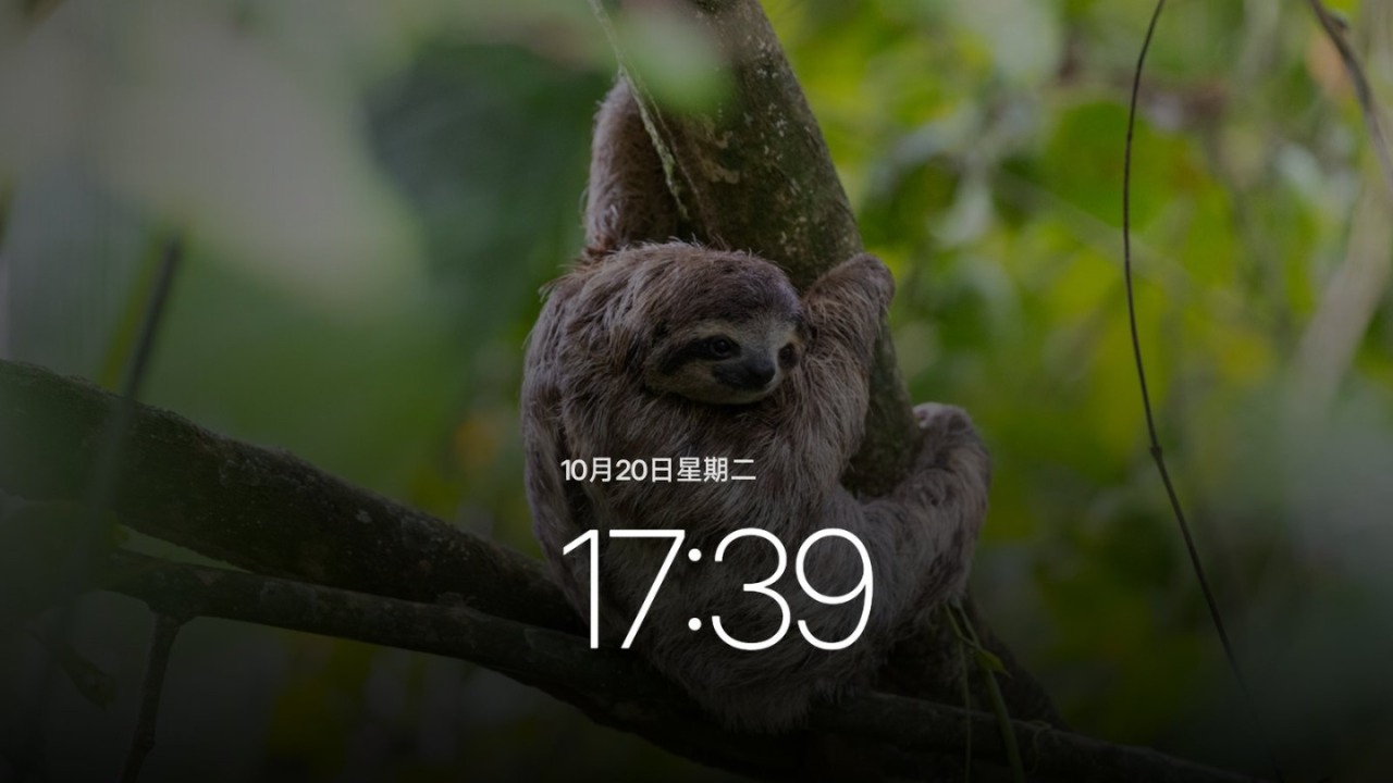粘贴图片.png